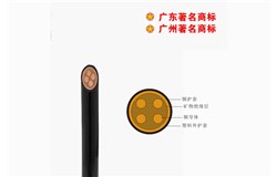 WD-BTTYZ-750V礦物質電纜